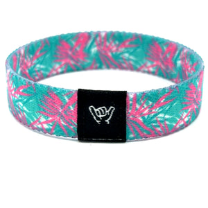 Miami Breeze Bands