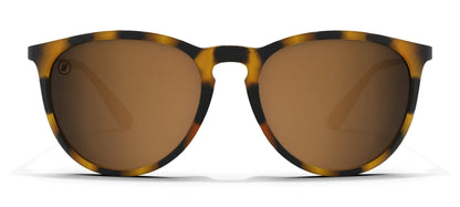North Park Sunglasses