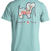 Teachers Are Magic Pup Tee - True Celadon