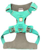 Front Range Dog Harness - Aur Teal