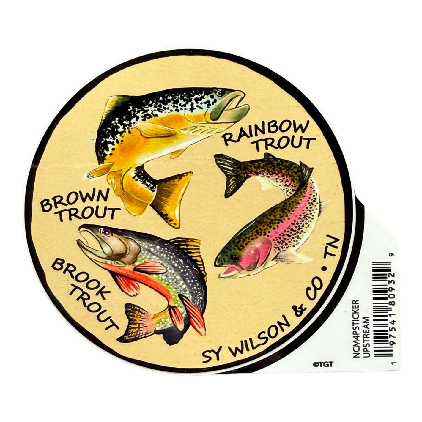 Upstream Trout