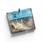 Big Jon's Spinnerbaits