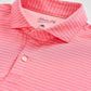 Beau Polo