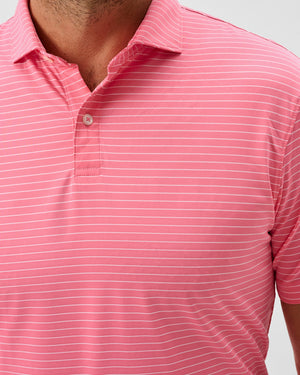 Beau Polo