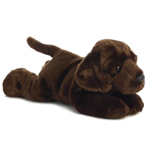 Max Chocolate Lab