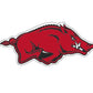 Collegiate Decals