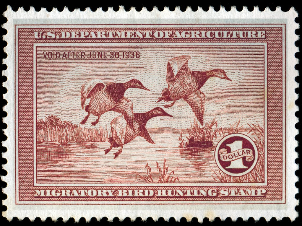 Metal Duck Stamp Sign Medium