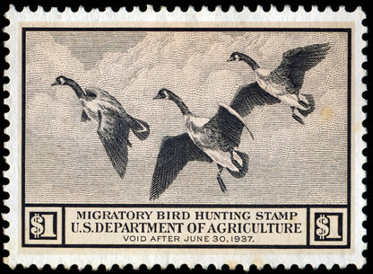 Metal Duck Stamp Sign Medium