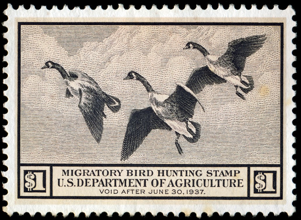 Metal Duck Stamp Sign Small