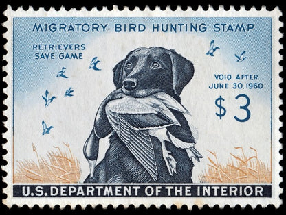 Metal Duck Stamp Sign Medium