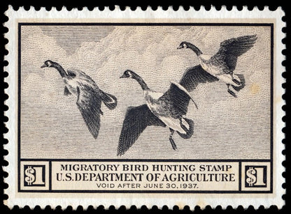 Metal Duck Stamp Sign Medium
