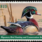 Metal Duck Stamp Sign