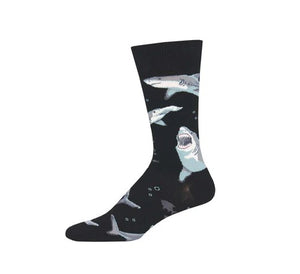 Shark Chums Sock