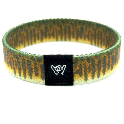 Smallmouth Bass Bands