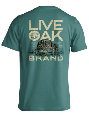Swimming Lab Live Oak