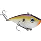 Red Eyed Shad