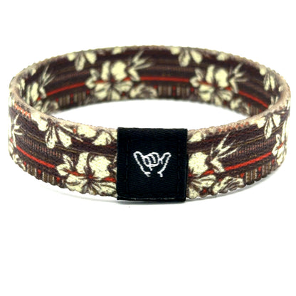 The Santiago Bands