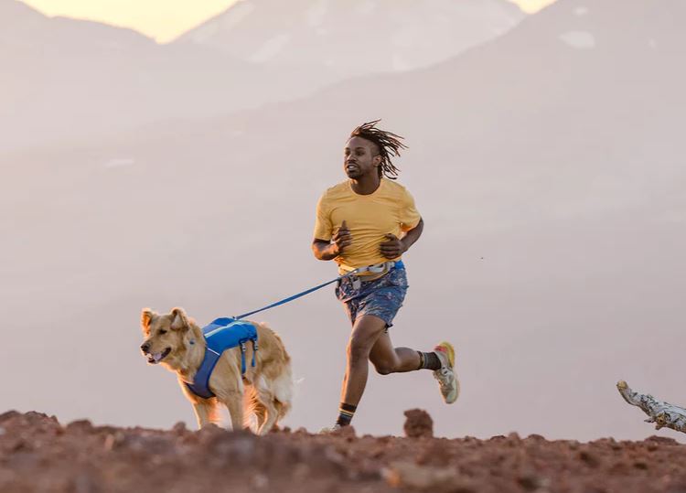 Trail Runner Leash