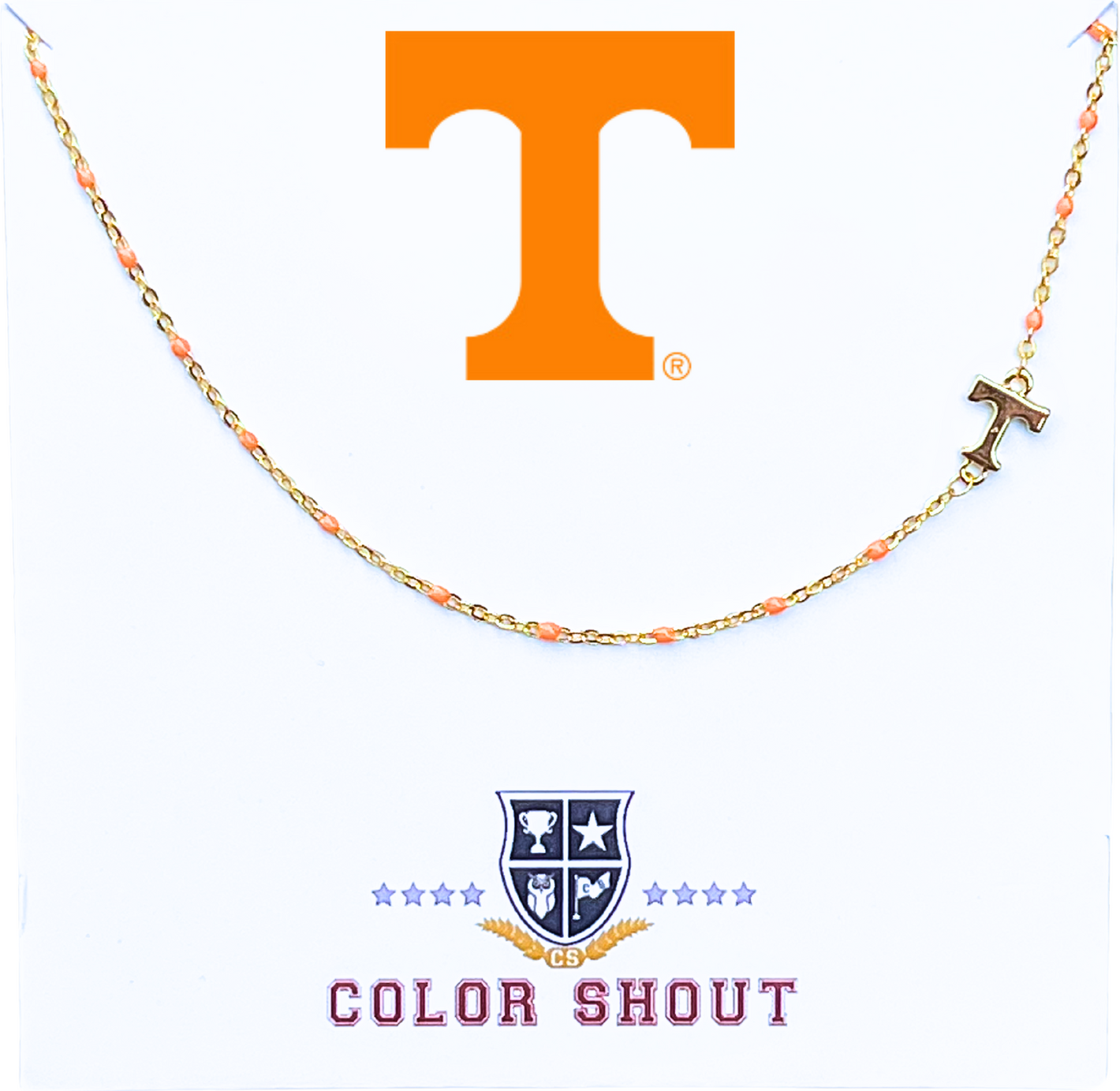 Univ of Tennessee Necklace