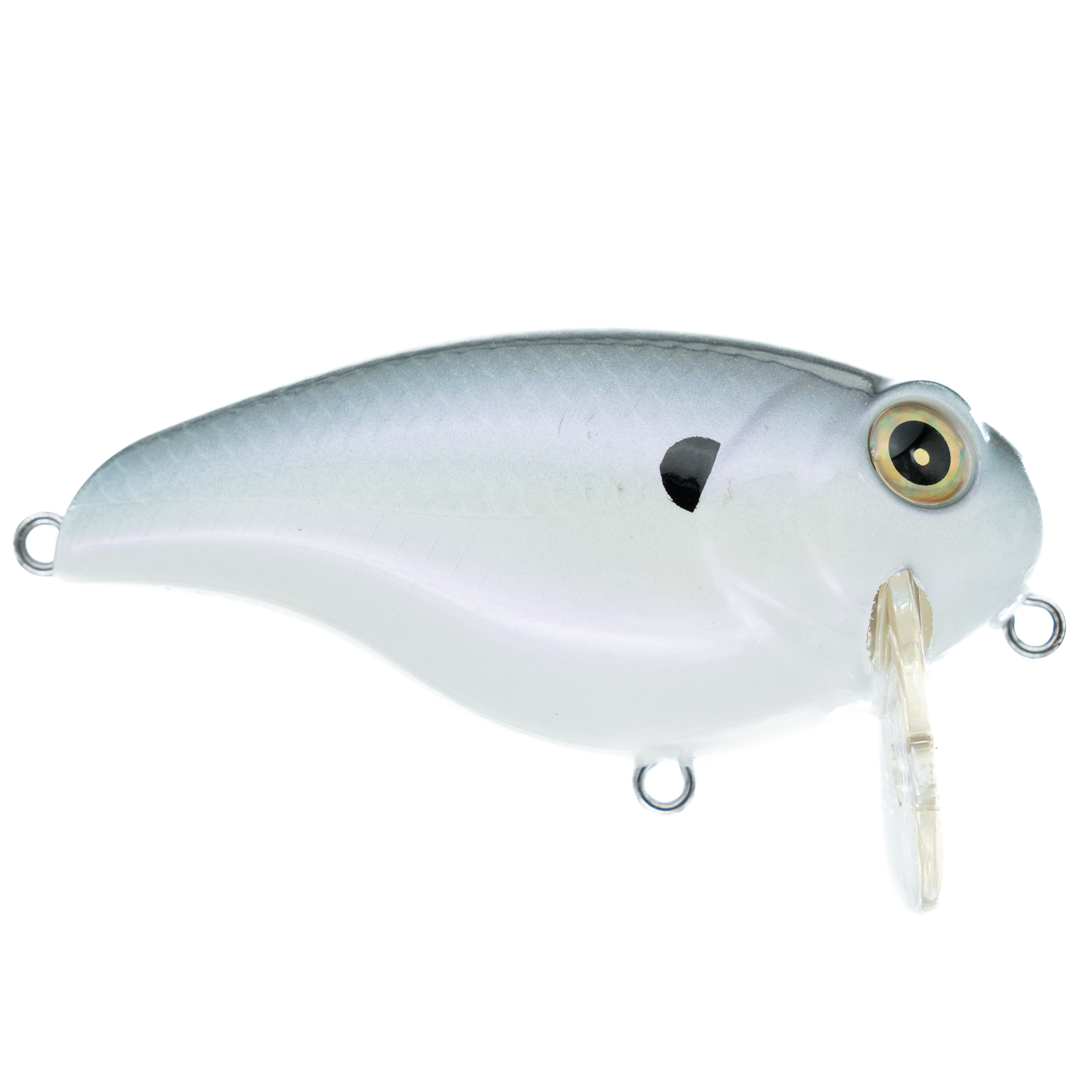 azuma wave z fishing lure Azuma Wake Z