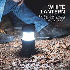 Big Poppy Lantern