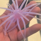 Prickly Pear 25 mm Finesse Bait
