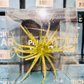 Prickly Pear Jr 9.9 mm Finesse Bait - 2 pack