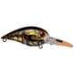 Azuma Boss Hawg