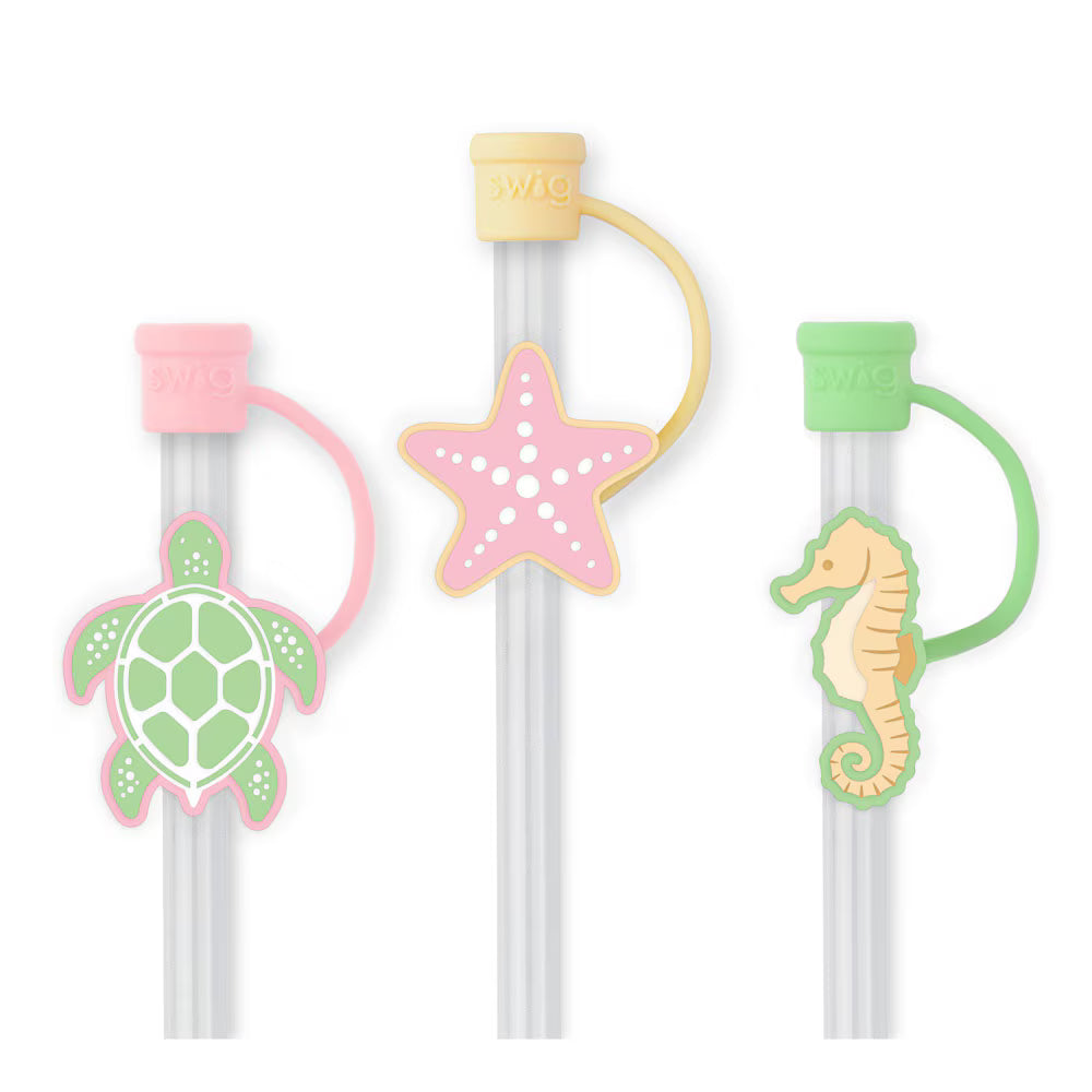 Straw Topper Summer Salt Set