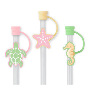Straw Topper Summer Salt Set