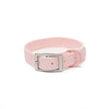 Everyday Pvc Collar - Rosewater