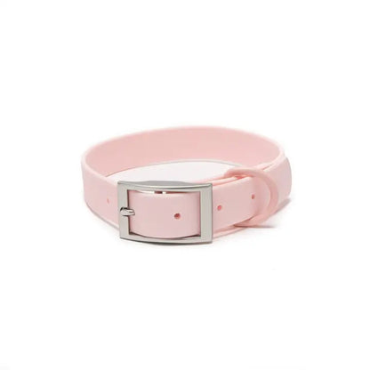 Everyday Pvc Collar