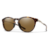 Wander Sunglasses - Polarized Brown Lens - Tortoise Frame