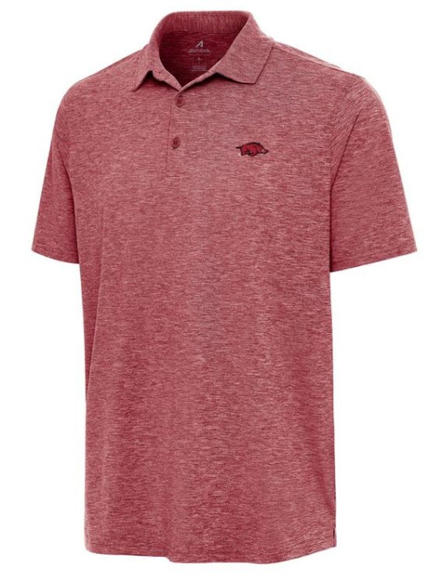 Univ Arkansas Polo