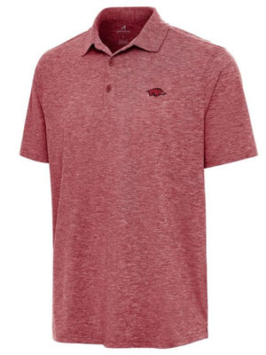 Univ Arkansas Polo