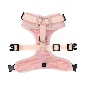 No-Pull Harness