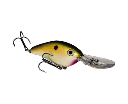 Pro Model 8Xd Crankbait