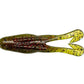 Horny Toad 5Pk