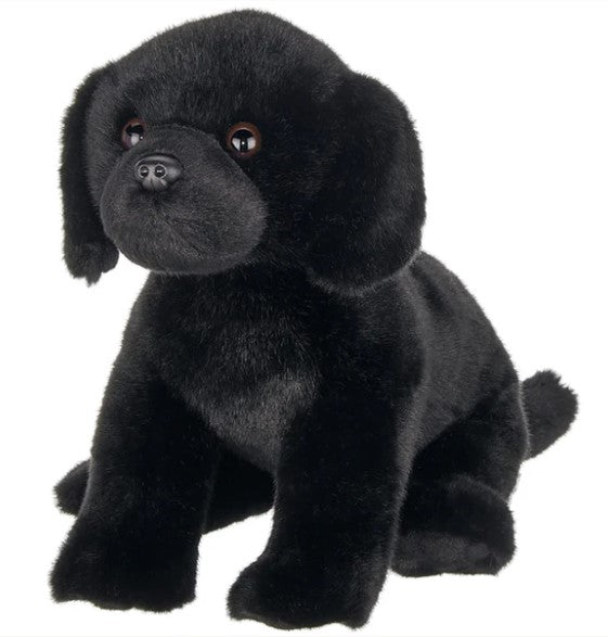 Lil Jet the Black Lab