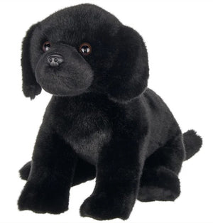 Lil Jet the Black Lab