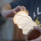 Illumates Mini Lamp