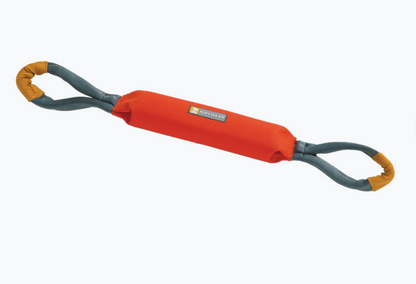 Pacific Loop Toy