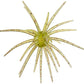 Prickly Pear 19 mm Finesse Bait
