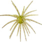 Prickly Pear 25 mm Finesse Bait