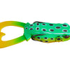 Outlier Frog - Yellow Belly