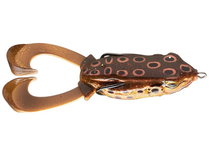 Outlier Frog