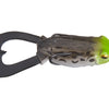 Outlier Frog - Green Toad