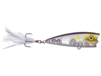 Hc Kvd Splash Jr
