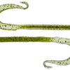 Mag 2 Worms 20pk - Watermlonseed