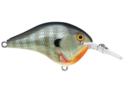Rapala Dives To 6